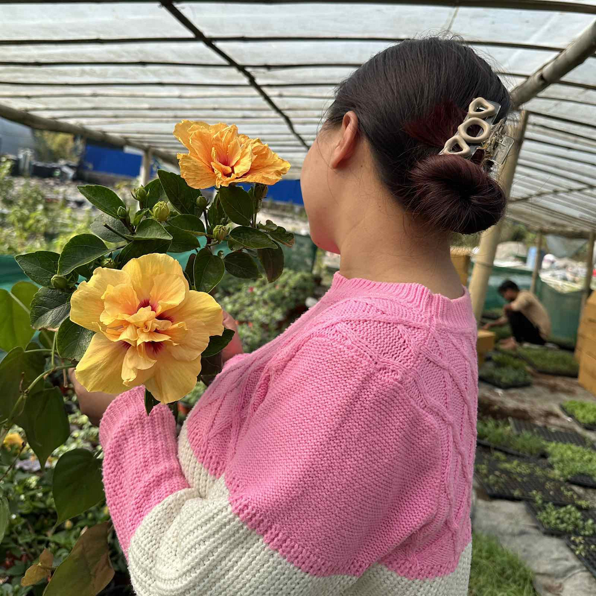 blog-Living, Learning, and Growing with My Plants